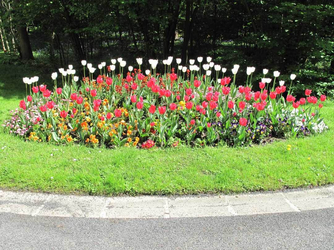 Parterre de fleurs les étapes pour en créer chez vous